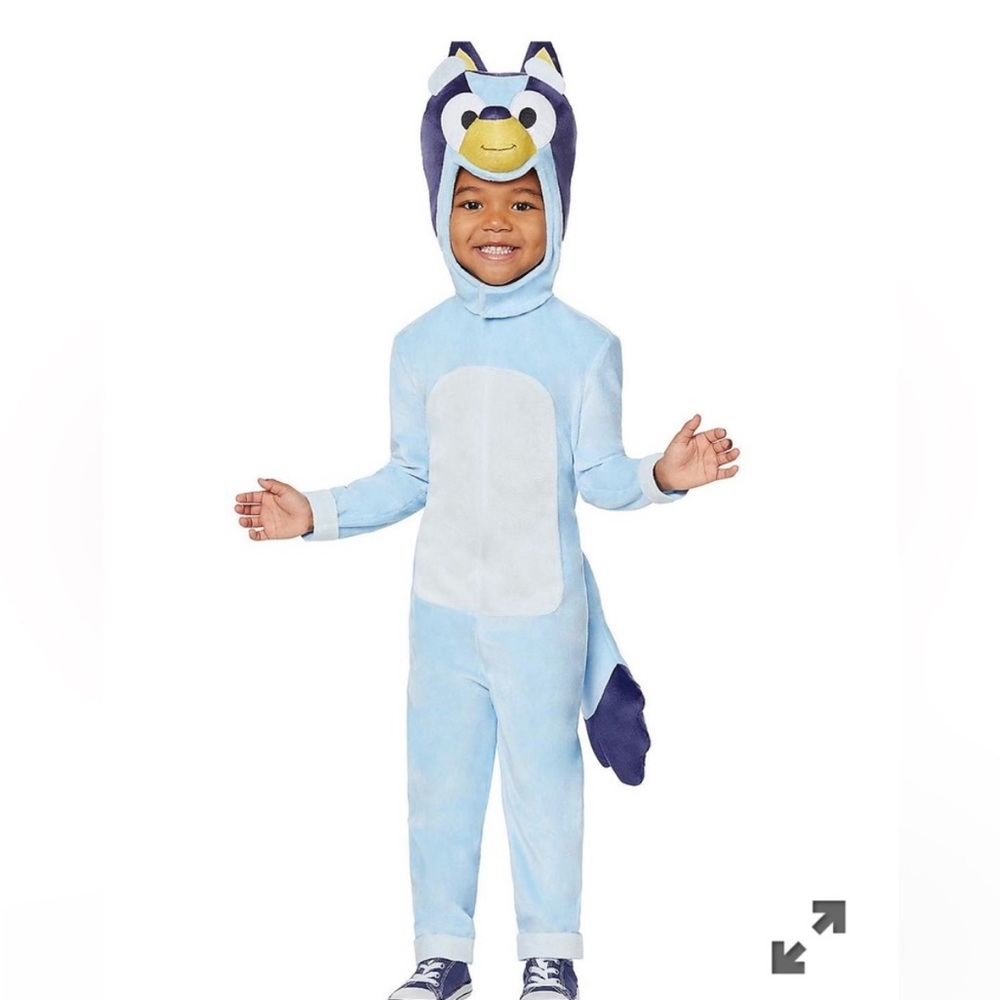 Bluey costume